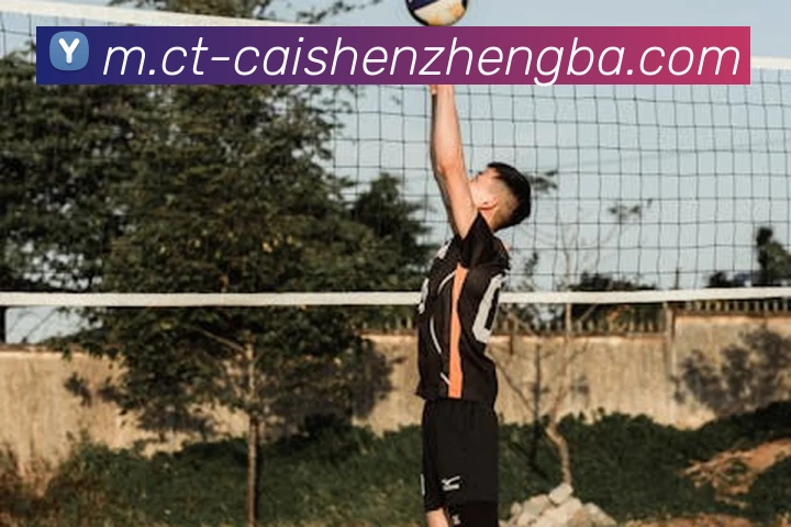 彩神争霸发展历程